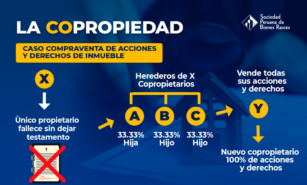 La Copropiedad Caso Compraventa De Acciones Y Derechos De Un Inmueble 4792